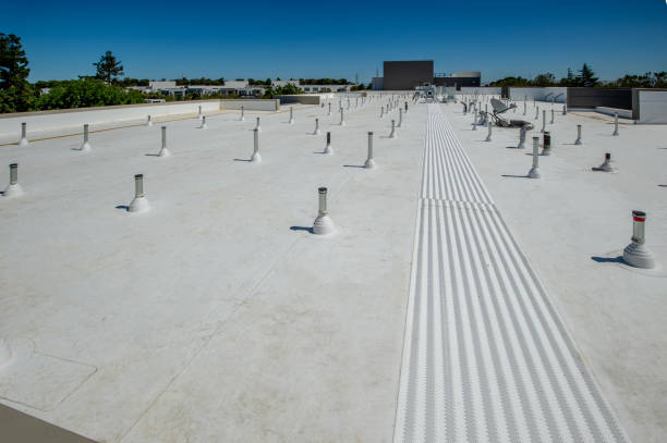 Best Roof Moss and Algae Removal  in Hardin, MT